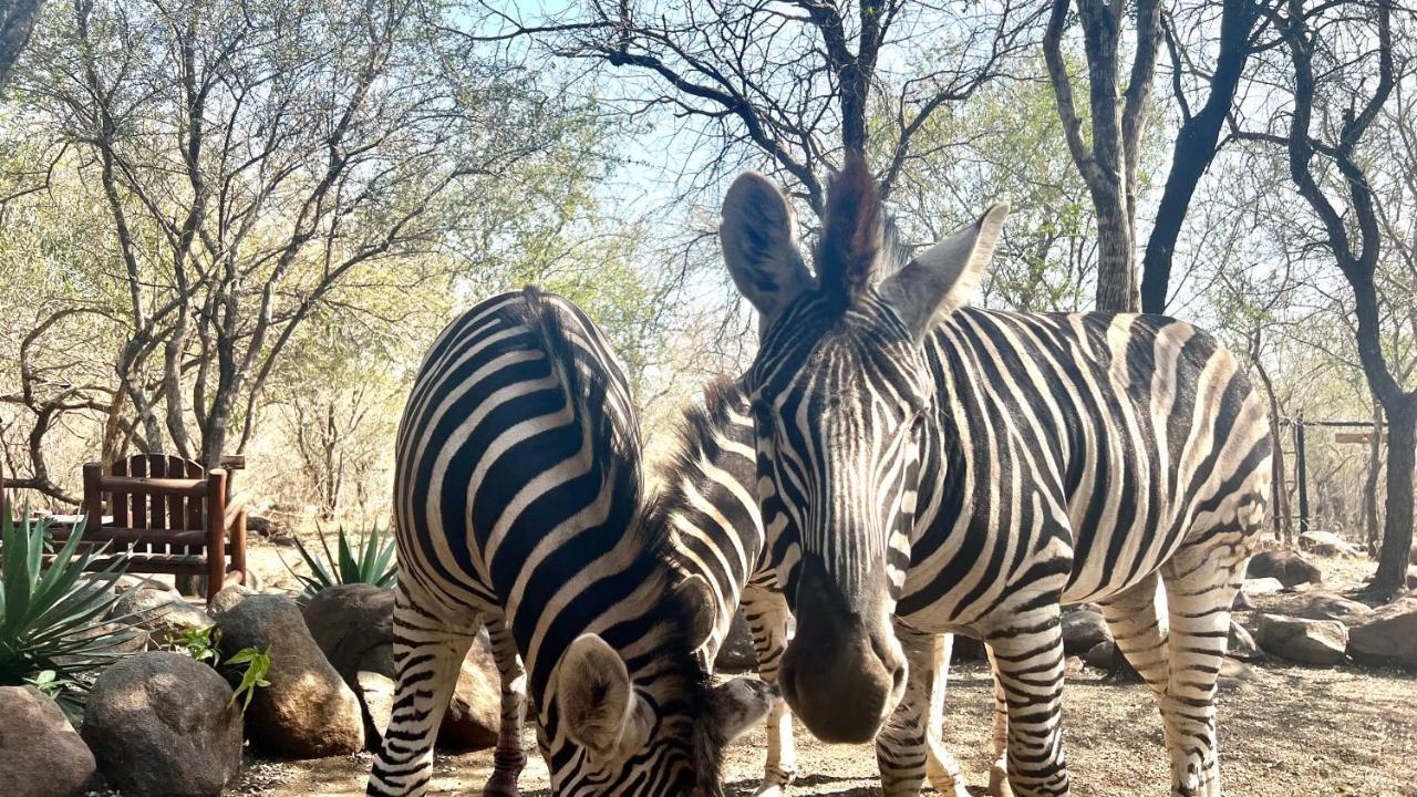 شقة Kruger Kumba - Lahlekile Nathi مارلوث بارك المظهر الخارجي الصورة