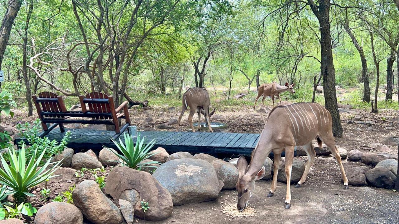 شقة Kruger Kumba - Lahlekile Nathi مارلوث بارك المظهر الخارجي الصورة